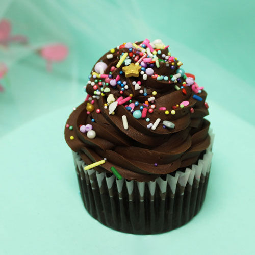 Chocolate Cupcake Photo