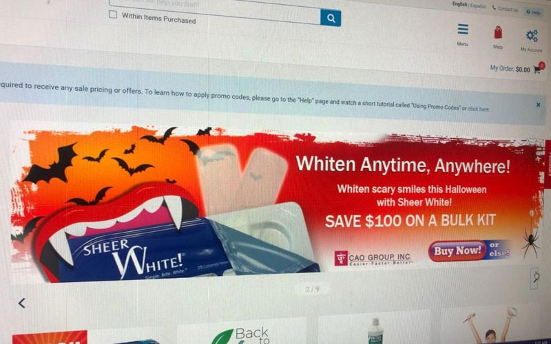 sheer white halloween banner ad by kelly parke